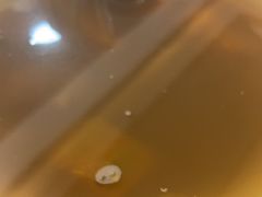南瓜绿豆汤-邮亭陈鲫鱼·重庆老字号(大足直营店)