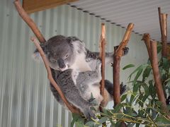 -费瑟代尔野生动物园