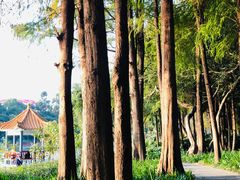 -肥妹烧腊店(洪湖店)