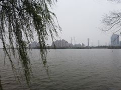-金银湖国家城市湿地公园