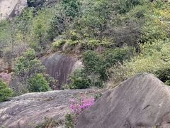 -大罗山风景区