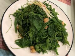 清炒南瓜尖儿-巴依老爷新疆美食(清华东门店)