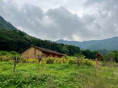 -广州市石门国家森林公园