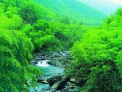 -沙县小吃文化城