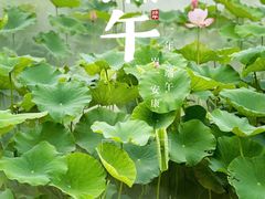 -嘉北郊野公园