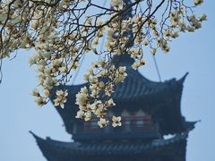 -上海方塔园
