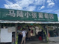 -马陆小张葡萄园农家乐