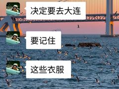 -日月昇渔家菜·海肠捞饭·大连海鲜(星海公园店)