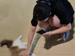 -藏猫猫咖啡主题馆(中央大道店)