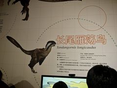 -衢州市博物馆