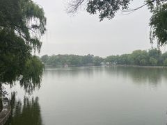 -北陵公园