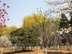 -济南植物园