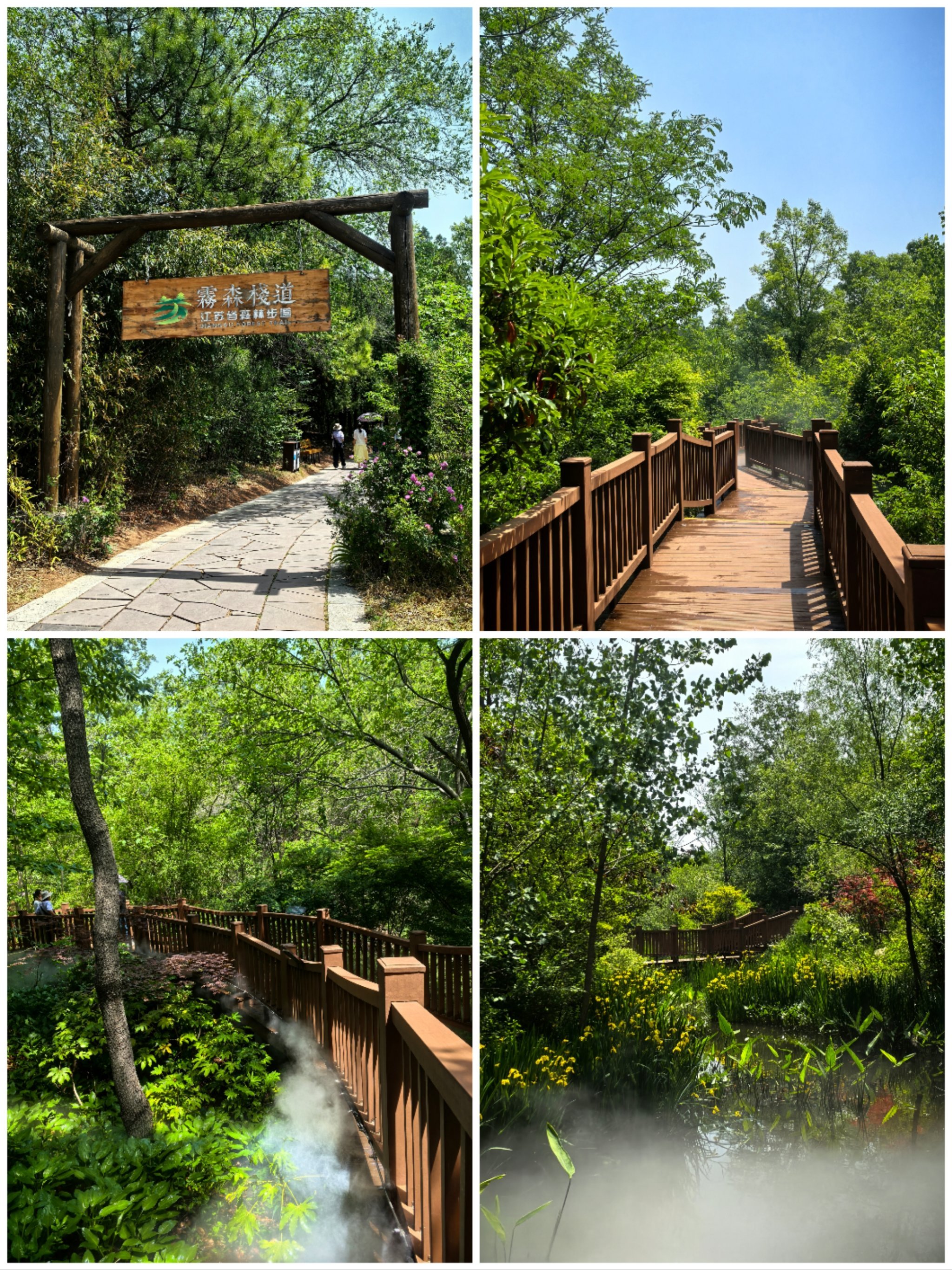 在三台山,邂逅一场缤纷花事
