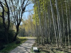 -采石矶景区