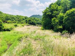 -三块石国家森林公园