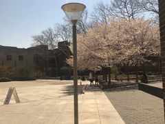 -宾夕法尼亚大学沃顿商学院