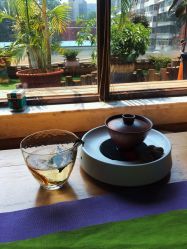 -花间禅净·瑜伽