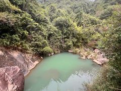 -广州白江湖森林公园