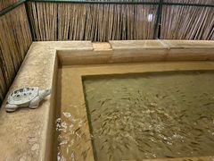 -星河温泉小镇