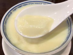 姜汁撞奶-仁信老铺甜品(北京路店)
