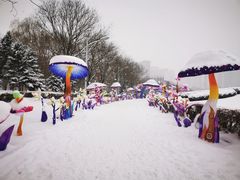 -沈阳奥体冰雪嘉年华