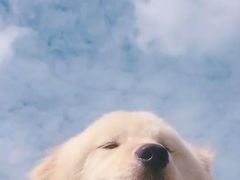 -瑞慈体检上海普陀机构