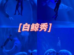-哈尔滨极地公园