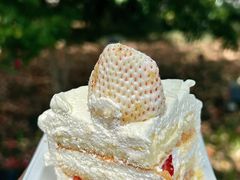 -卷心卷意·轻甜蛋糕(新光天地店)