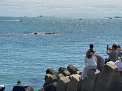 -青岛第二海水浴场