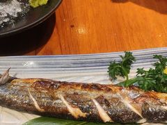 -三月居酒屋(青年大街店)