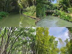 -同里国家湿地公园