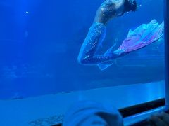 -太平洋海底世界