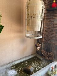 -威思丽高温瑜伽会馆