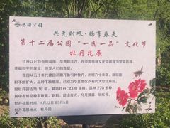 -迎泽公园