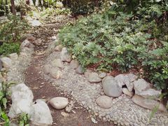 -成都市活水公园