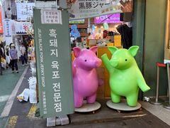 -西归浦每天偶来市场