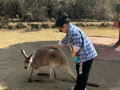 -泉州海丝野生动物世界