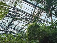-南山植物园