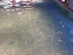 一楼泳池-巴斯漫温泉汗蒸馆(贡湖大道店)
