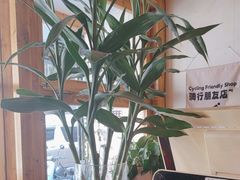 -留白咖啡(人民巷八号大院店)