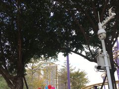 -史努比缤纷世界