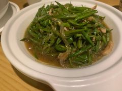 芸豆肉丝烧粉条-吕氏疙瘩汤·新鲁菜(潍坊银座店)