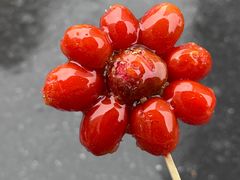 -浙江大学(紫金港校区)