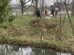 -苏州太湖国家湿地公园