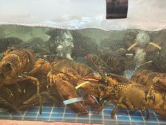 -大张烙馍村(泉山店)