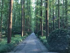 -上海怡沁园度假酒店