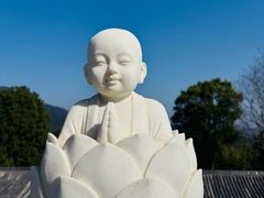 -庐山风景名胜区-东林大佛