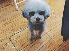 -志龙皇冠吃货椰子铺