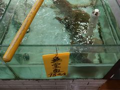 -寻味顺德·南记酒家·传统顺德菜·鱼生(广源路店)