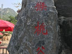 -大岭沟猕猴桃谷风景区